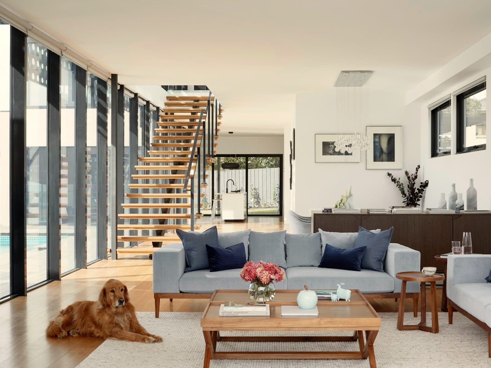 Sunlit open-plan living room with a dog resting on a clean wood floor